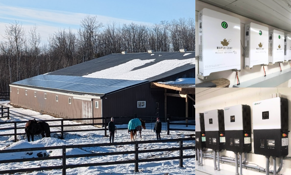 Solar Project: Massive Solar Power Solution for a Horse Ranch in Little Britain, ON