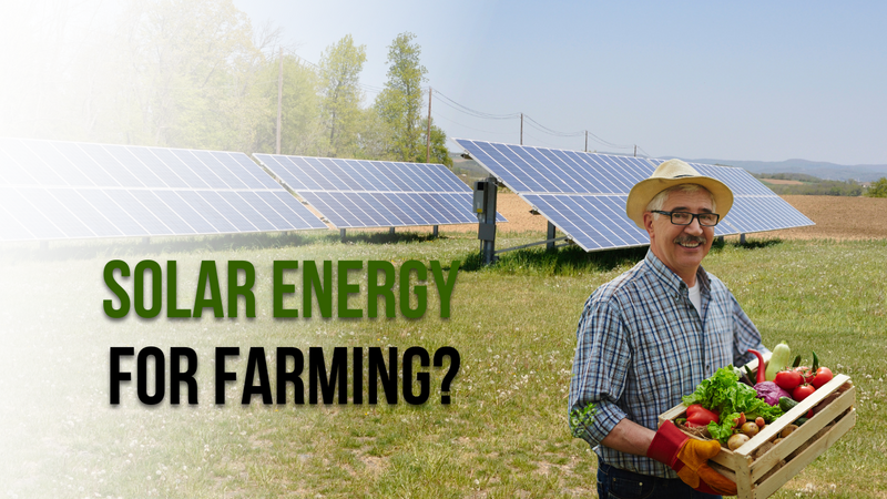 Harnessing the Power of the Sun: How Solar Energy is Revolutionizing Farming
