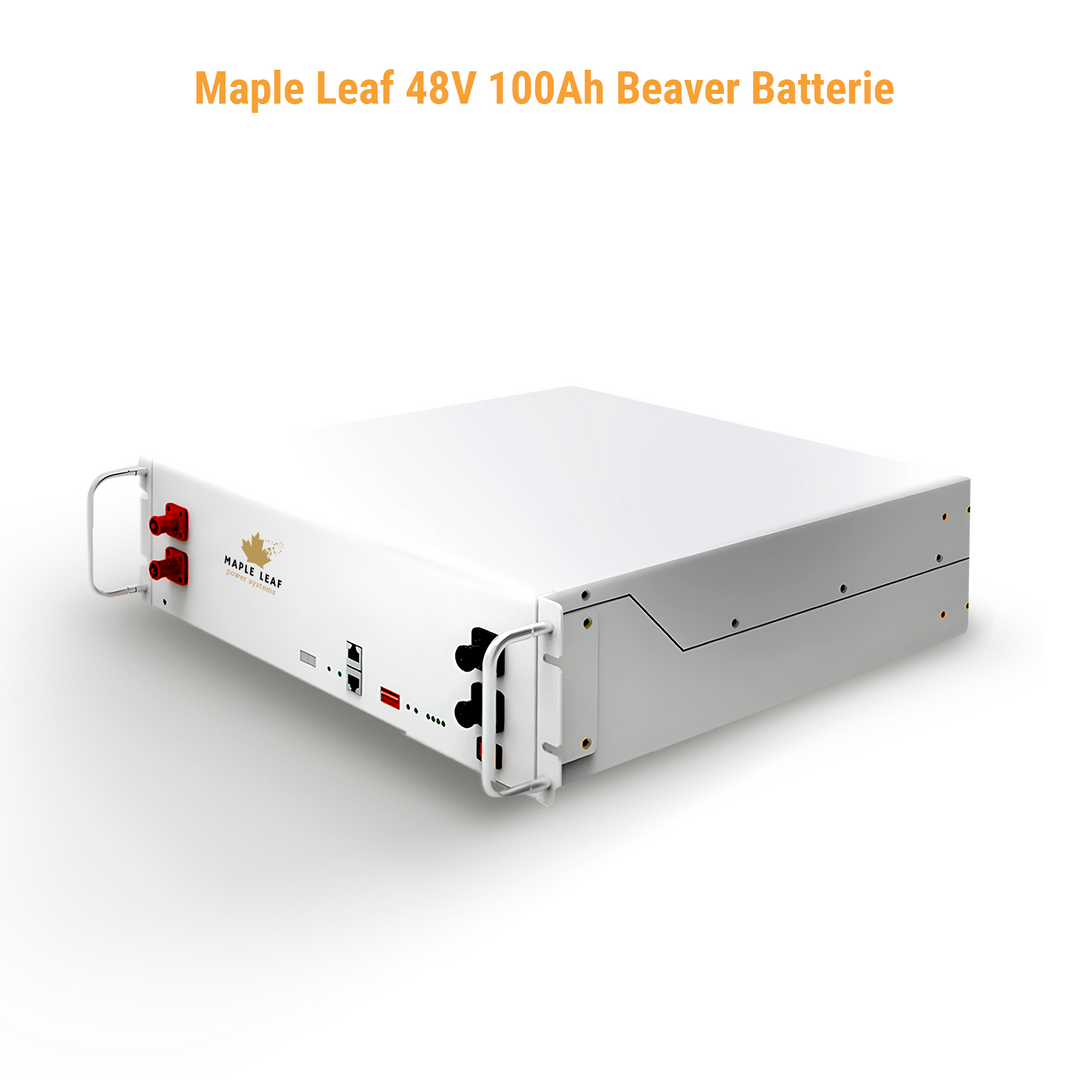 Luxpower SNA-US-6K Kit - Tier 1 550W+ Solar Panels | 48v 100Ah Beaver Battery | Solar Power Kits for House, Cabin & Off-Grid